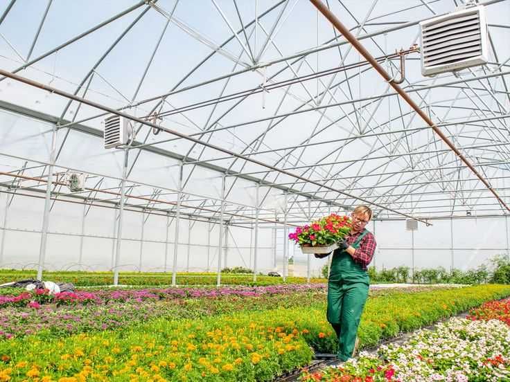 Тепловентилятор водяний Volcano для обігріву теплиці теплиць парників