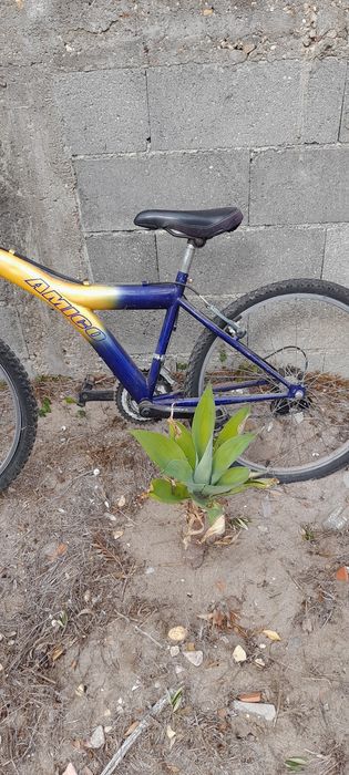 Bicicleta junior