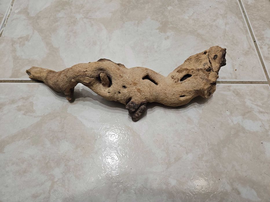 Diverso Material RÉPTEIS