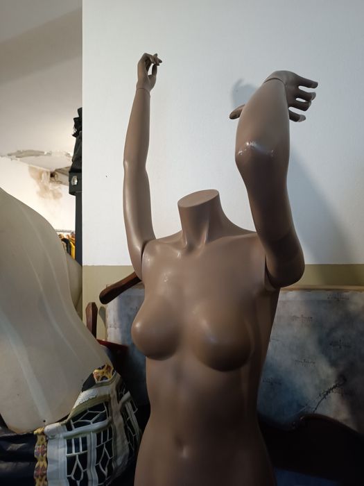 Manequim feminino de loja