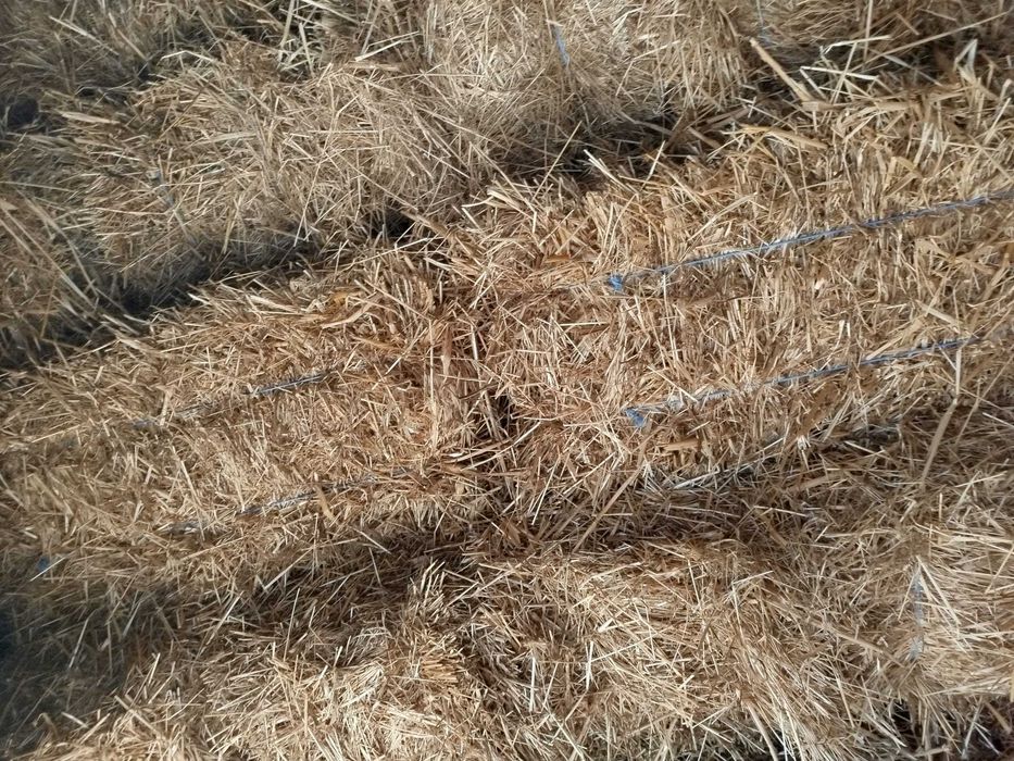 Fardos de palha de azevem e aveia