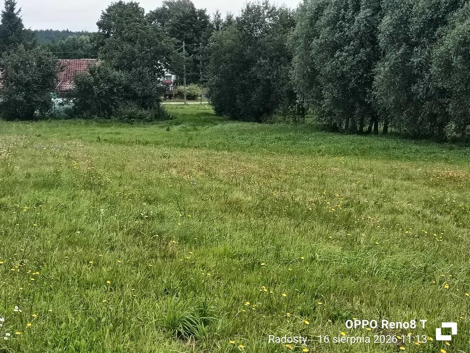 Działka 78 arów - Widok 5