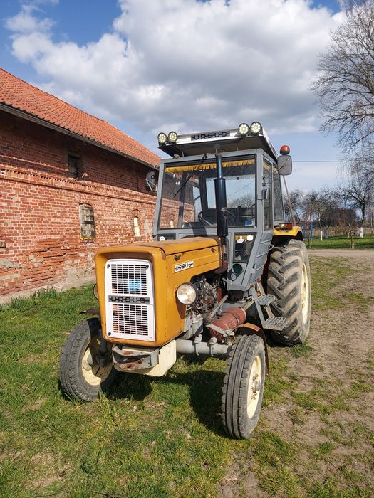 SUPER STAN! Ursus c-360