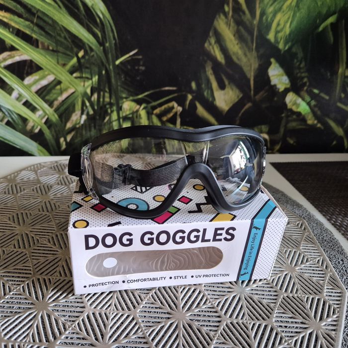 Gogle dla psa ochronne