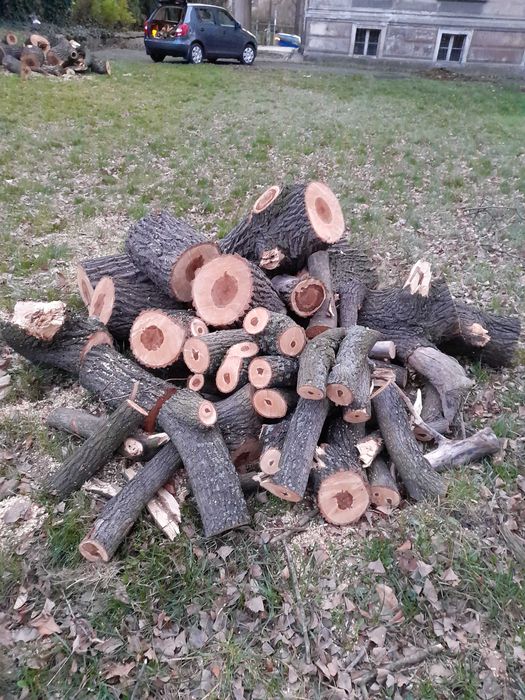 Sprzedam drewno leżakowane 3 lata