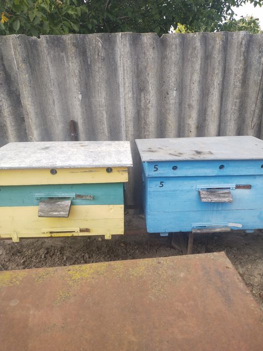 Продам вулики дадани