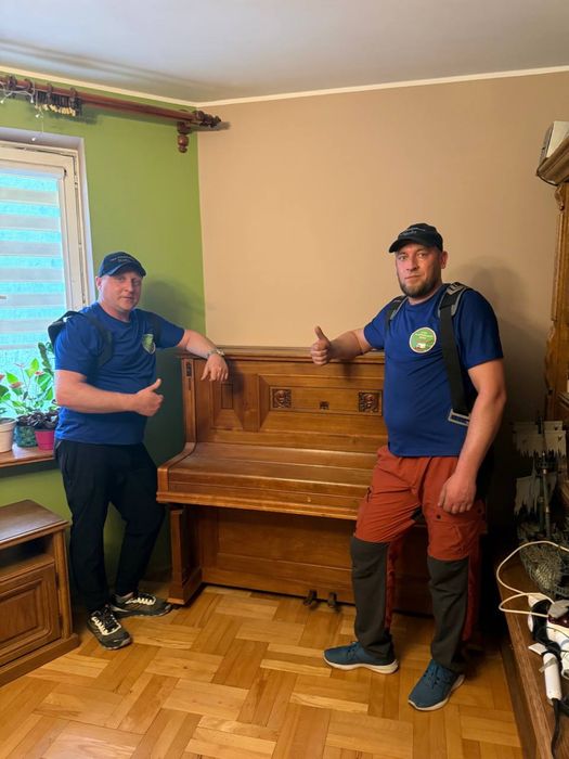 Super Przeprowadzki Mario Transport Schodołazy Taxi bagażowe