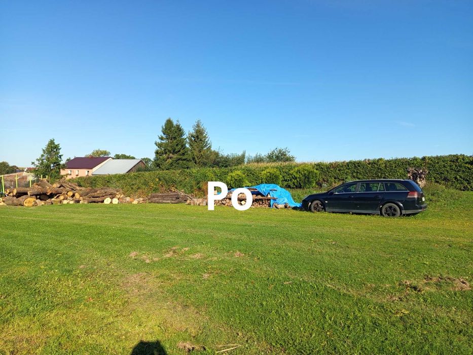 Usługi ogrodnicze, przycinanie drzewek, tui, pielęgnacja ogrodu.