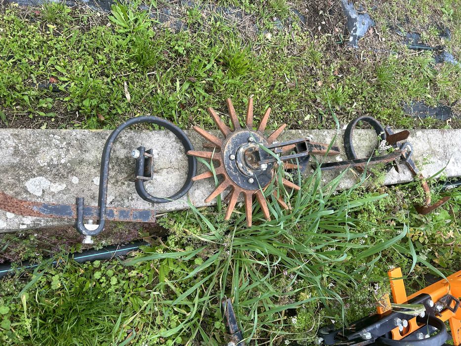 cultivador finger weeder schmotzer