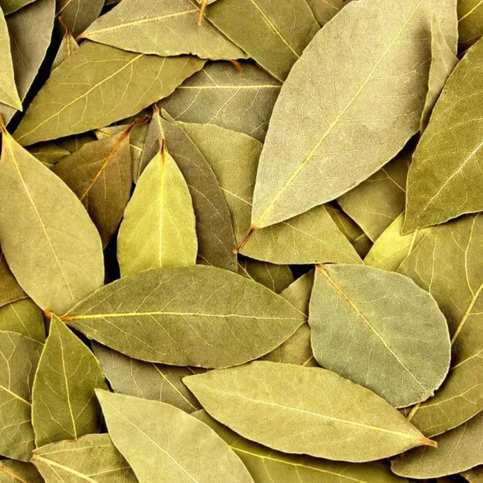 Ervas aromáticas Biológicas Louro, Alecrim, Lucia-Lima