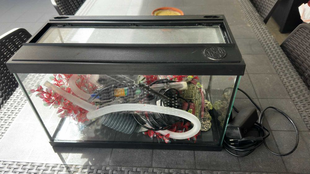 Aquário com acessórios