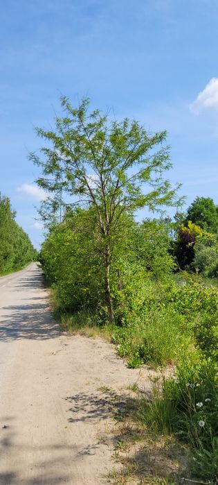 Gdańsk Barniewice, Działka Mieszkaniowo-Usługowa 811 m², Media, PKM, 0% Prowizji - Widok 6