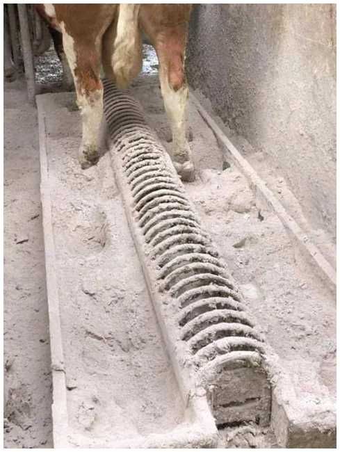 VetFeed HBP 1000 kg sucha kąpiel racic, sucha dezynfekcja.