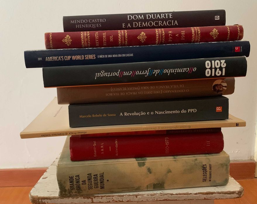 Lote de livros variados