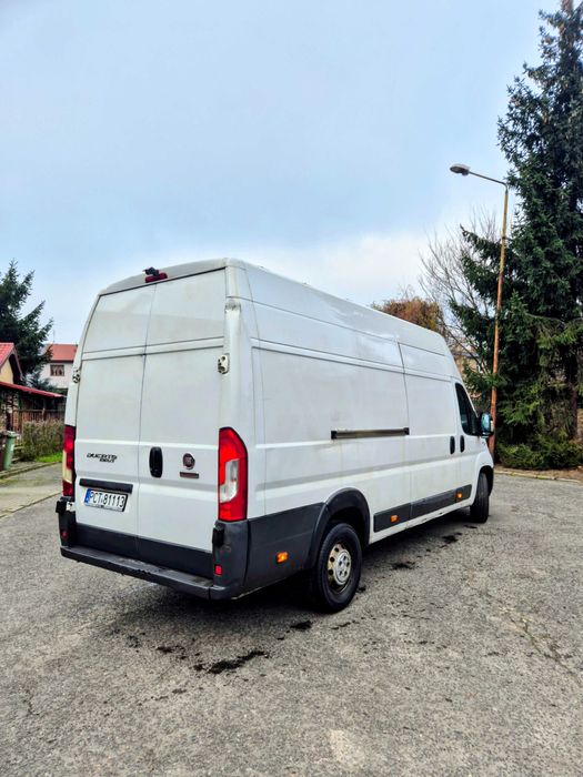 Wynajem busów usługi transportowe przeprowadzki Stargad 24/7