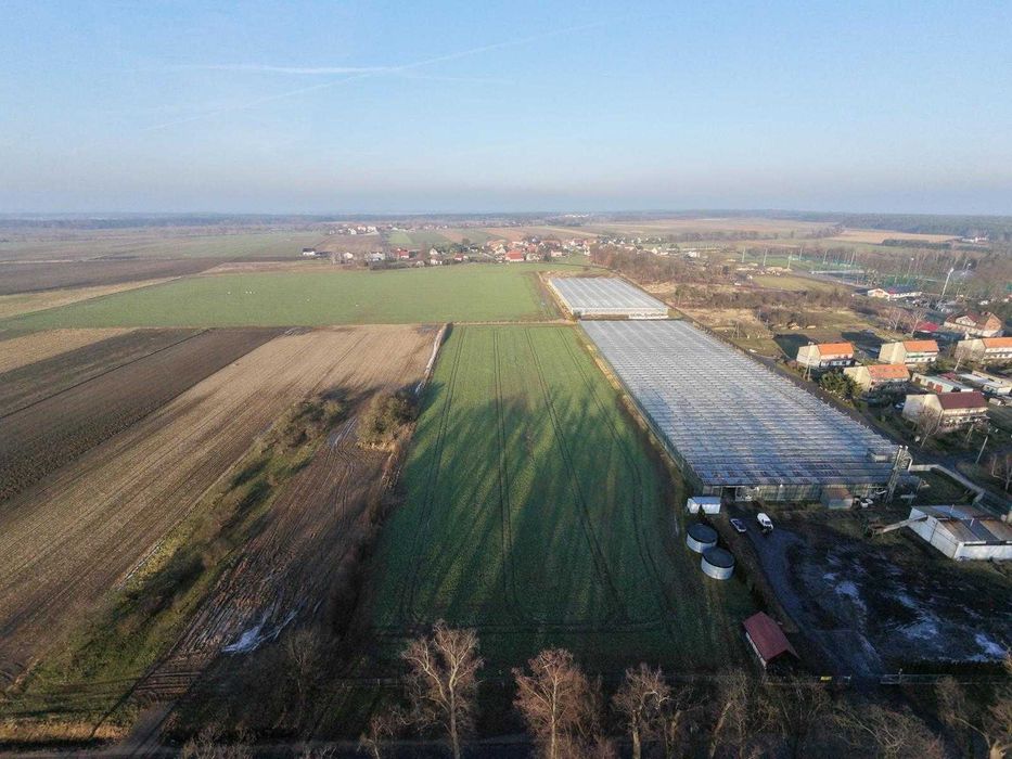 Sprzedam gospodarstwo ogrodnicze, szklarnia