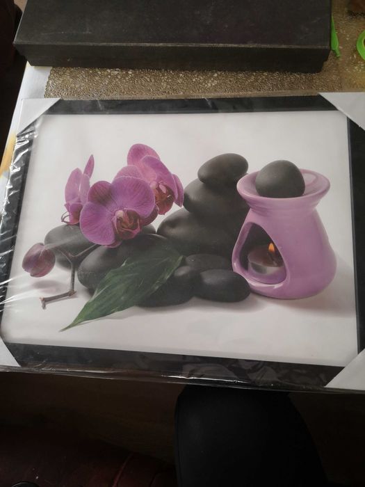 Nowy, zafoliowany obraz. Storczyk fioletowy