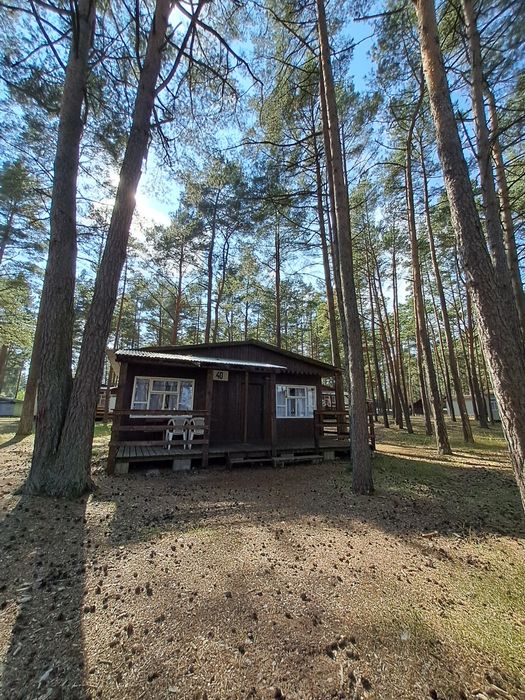 Wynajmę domki letniskowe na cały sezon letni Kaszuby Borsk