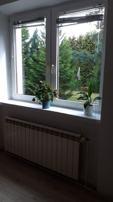 Dom 35 km od Warszawy