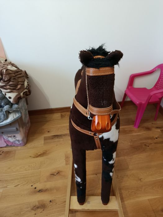 Konik na biegunach