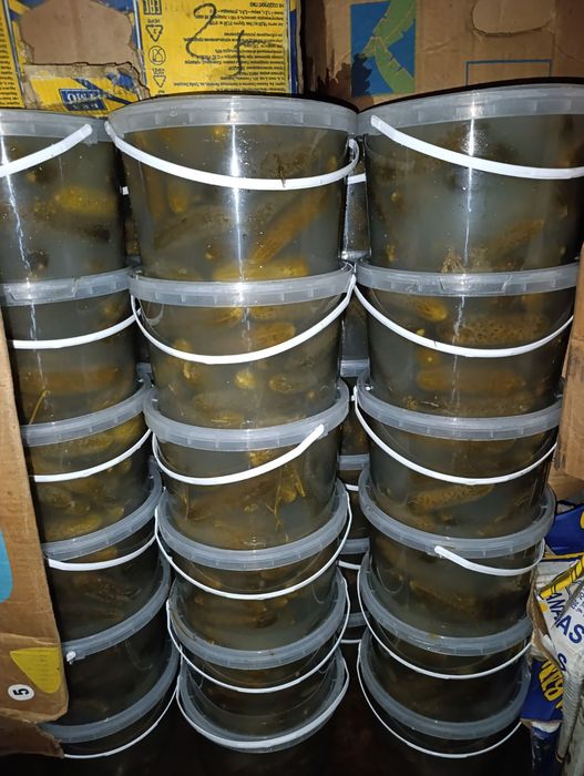 Продам квашеную капусту оптом от 100кг,огурец бочковий, помідор, яблук