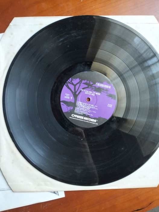 Disco de vinil LP Skipper Wise