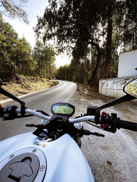 Ducati Monster 797 | 2018 | 19.000 km | Escape Termignoni