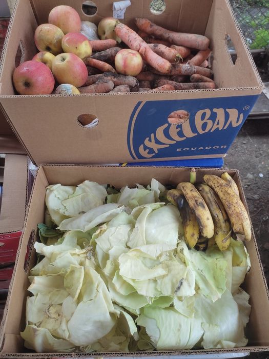 Корма для животных