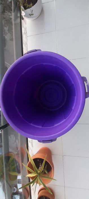 Balde plástico roxo com tampa