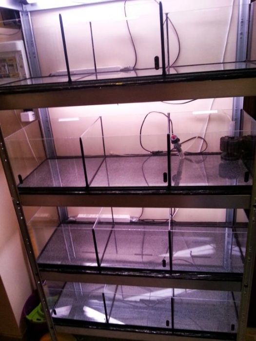 Asortyment Akwariowy różny