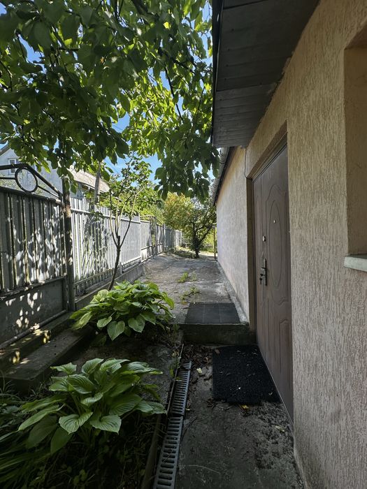 Дачний будинок та ділянка