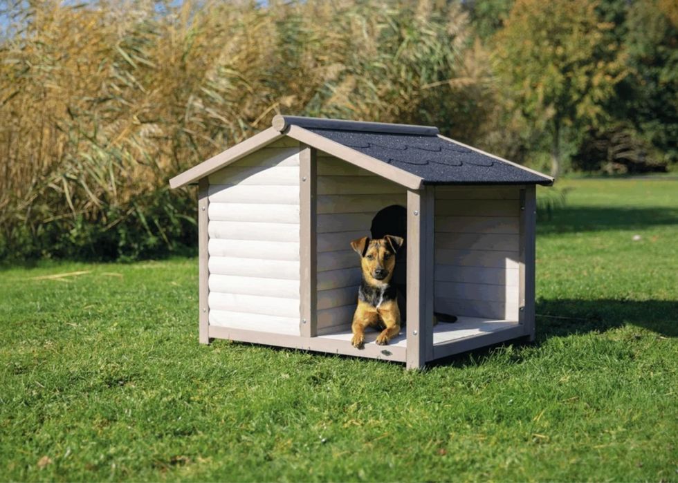 Casota para cães Madeira - PORTES GRÁTIS