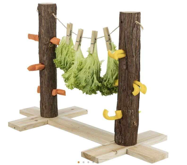 Conjunto tronco para roedores