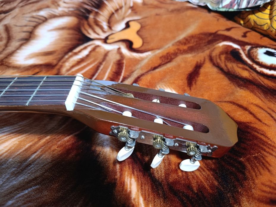 Gitara klasyczna C-2 (struny nylonowe) + pokrowiec