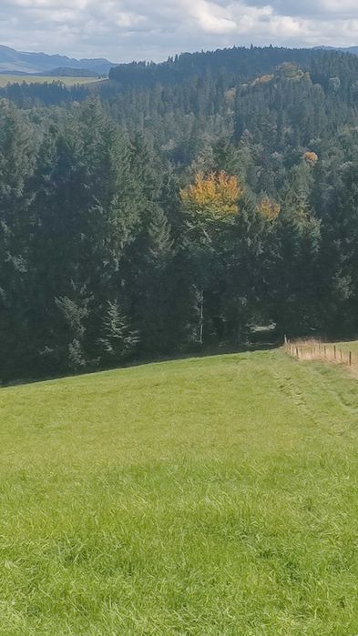 Działka budowlano/rolna