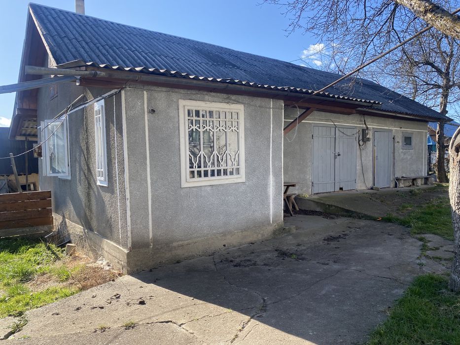 Господарство у Карпатах .