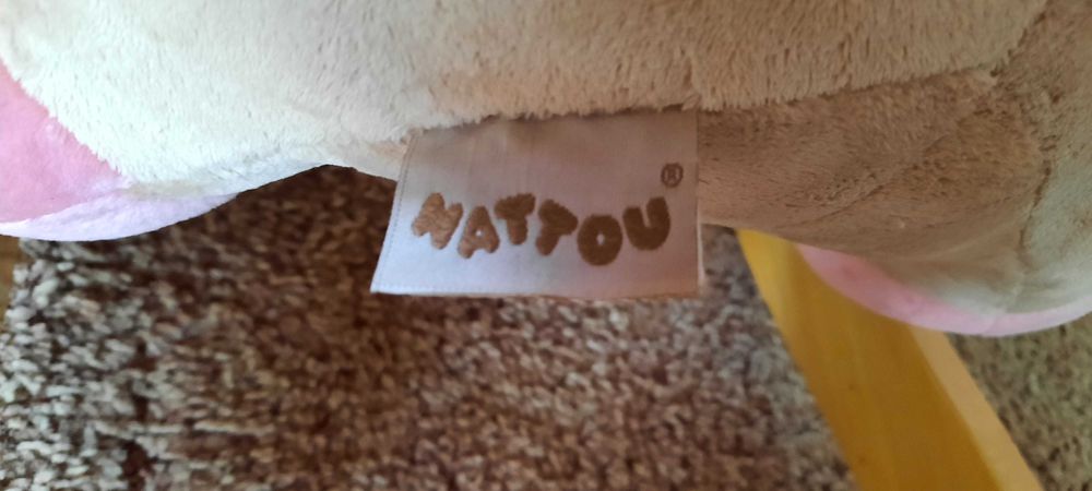 Nattou bujak, slon, slonik na biegunach