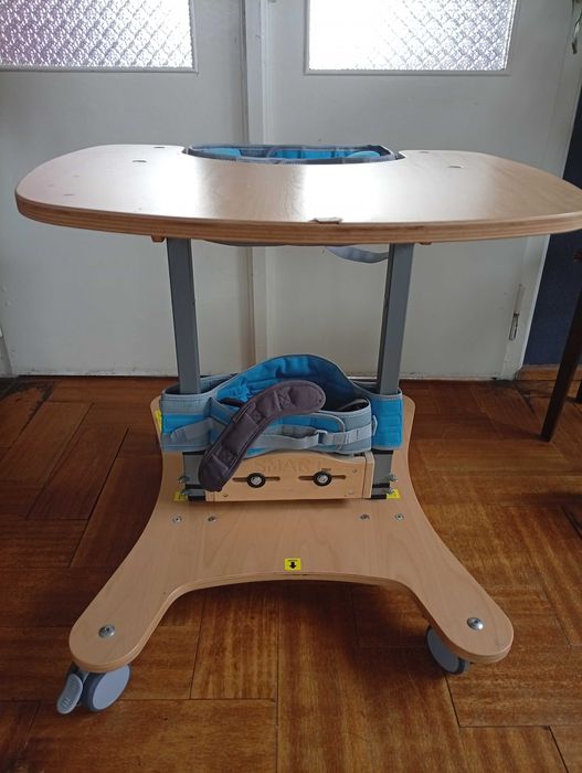 Pionizator rehabilitacyjny Smart pro