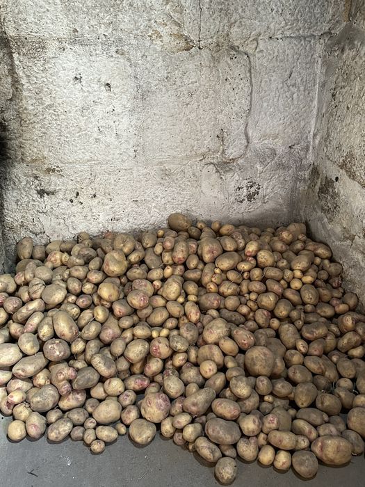 Batata nova  duas qualidades