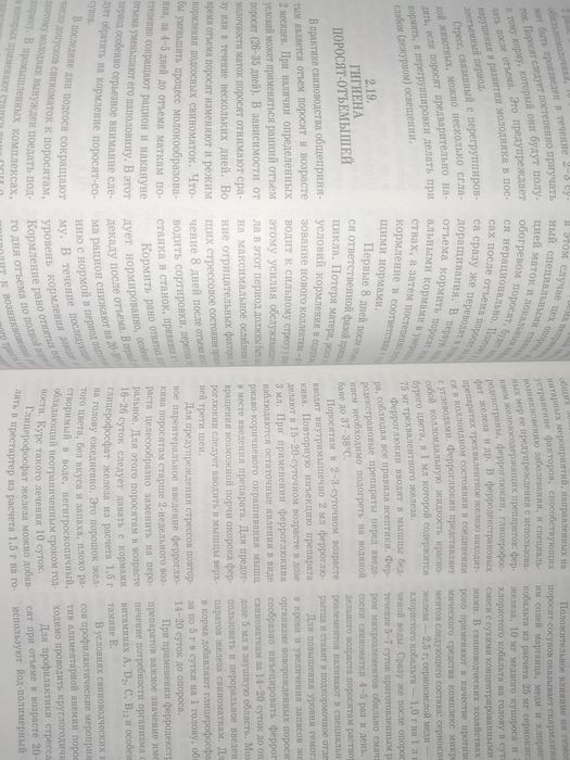 Свиньи. Содержание, кормление кузнецов 2007
Автор: Кузнецов