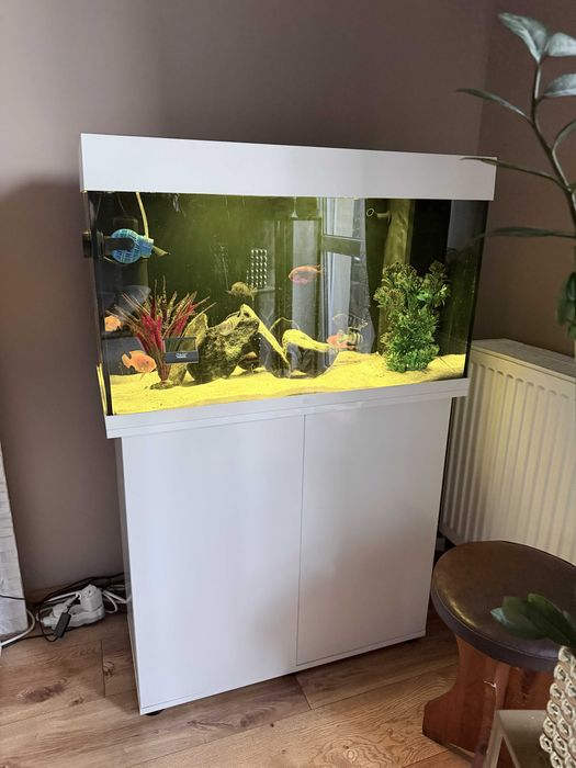 Akwarium Juwel Rio 125