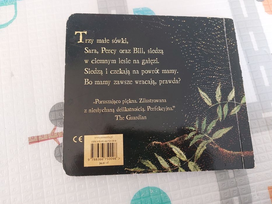 Małe sówki książka dla dzieci piękna