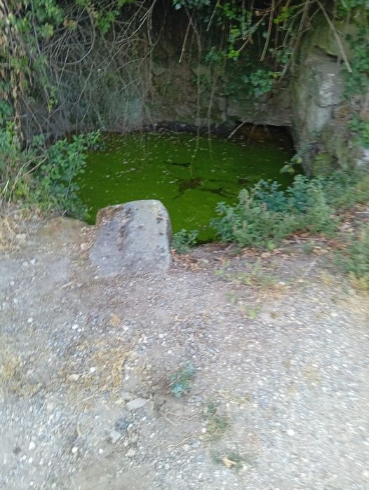 Terreno frente a Cavadoude