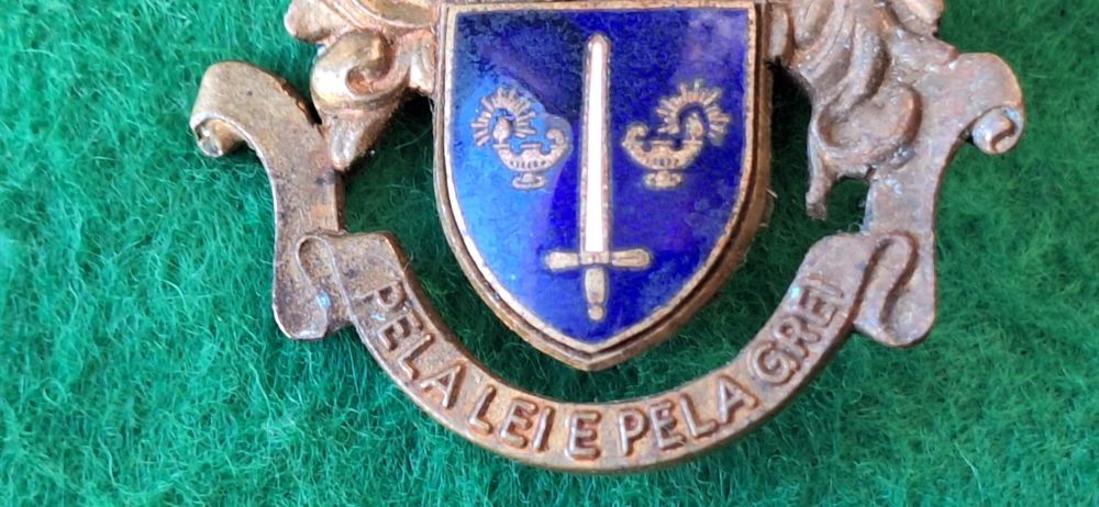 Gnr crachá militar pin insignia