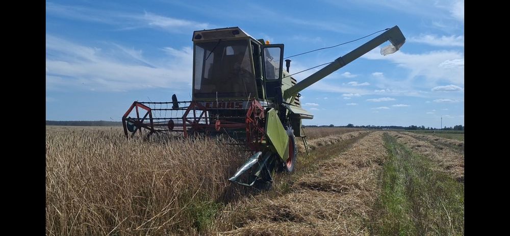 Sprzedam Claas senator