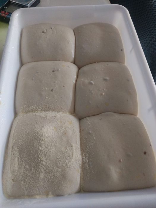 Forno elétrico 500°c para pizza monofásico