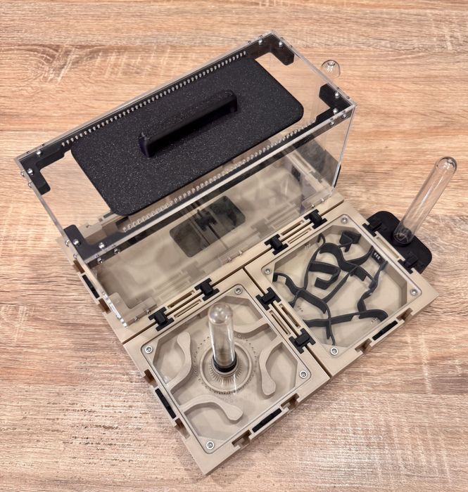 Formikarium BrixMini 1.1 start - idealne na małą kolonie.