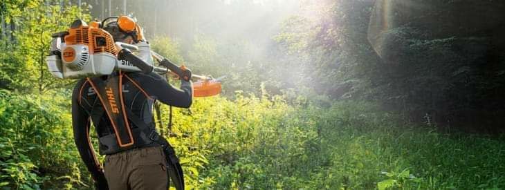 Limpeza terrenos silvicultura limpeza florestal