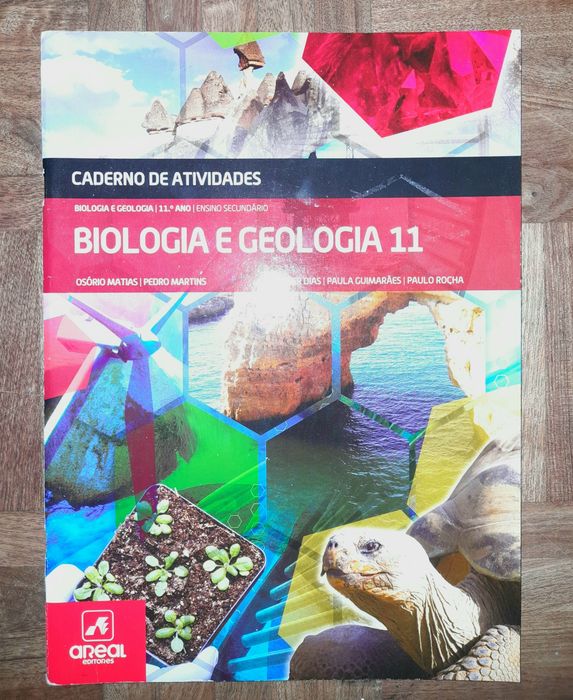 Caderno de Atividades BG11 - Areal