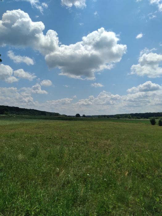 Продам дві земельні ділянки 8 і 16 соток